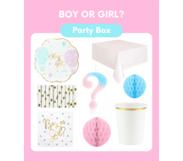 Dekorāciju komplekts "Zēns vai meitene?"
