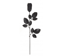 Dekoratīva roze, melna
